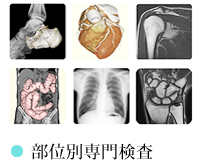 部位別専門検査